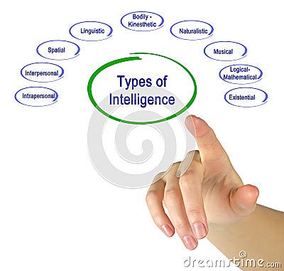 Types of Intelligence Stock Photo