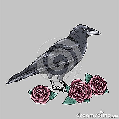 Hand drawn crow with red roses tattoo sketch Vector Illustration