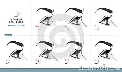 Types of Lash Curls. Eyelash Extension for Most Attractive Look. Woman Eye with Long Thick Eyelashes. Side View. Macro Vector Illustration