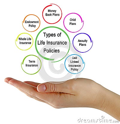 Types of Life Insurance Policies Stock Photo