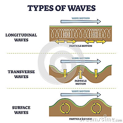 Types of longitudinal, transverse and surface waves examples outline diagram Vector Illustration