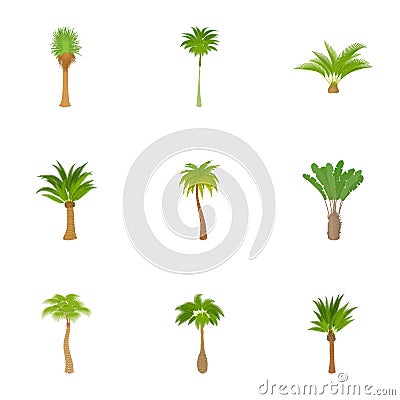 Types of palm icons set, cartoon style Vector Illustration