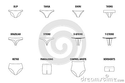 Types of panties for women. Vector Illustration