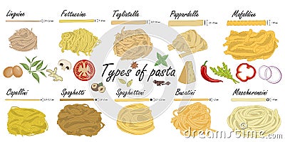 Types of pasta. Long pasta difference, illustration example Cartoon Illustration