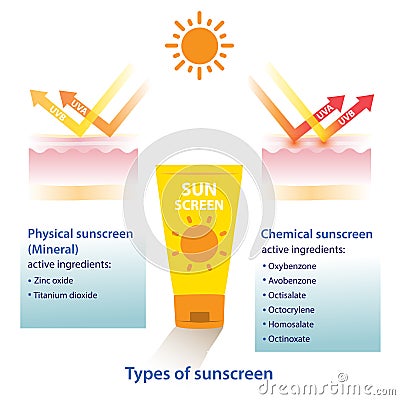 Types of sunscreen vector on white background. Cartoon Illustration