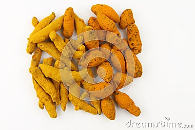 Types of turmeric barks Stock Photo