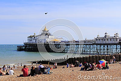 Typhoon display Eastbourne Airshow England Editorial Stock Photo