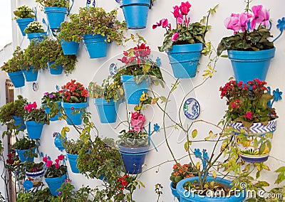 Typical Andalusian decoration with flowers and white walls Stock Photo