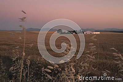 Typical Andalusian farmhouse in a cereal meadow Stock Photo