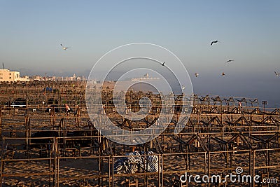 Portuguese beach. Povoa de Varzim. End of summer. Editorial Stock Photo