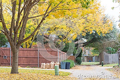 Typical concrete back alley with blanket of fallen leaves at suburban house near Dallas, Texas, USA Stock Photo