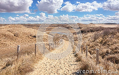 Typical Dutch dune landscape that is part of the Zuid Kennemerland National Park Stock Photo