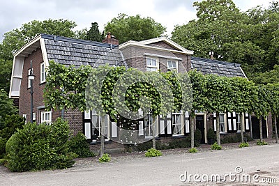 Typical dutch house with trained lime trees Stock Photo