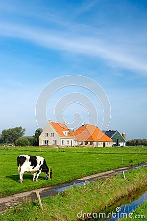 Typical dutch landscape Stock Photo