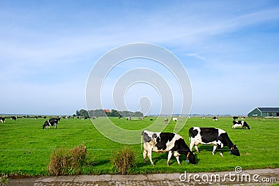 Typical dutch landscape Stock Photo