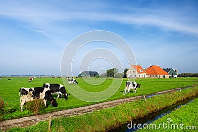 Typical dutch landscape Stock Photo