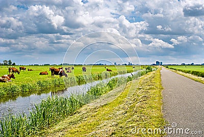 Typical Dutch Landscape Stock Photo