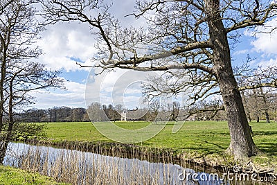 A typical Dutch landscape with old trees, grassland and in the distance the old country house Huis te Vogelenzang near Bennebroek, Stock Photo