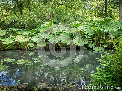 Typical English Garden - river Stock Photo