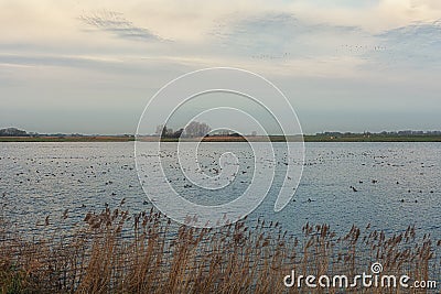 Typical flat Dutch polder with its ditches and lakes Editorial Stock Photo