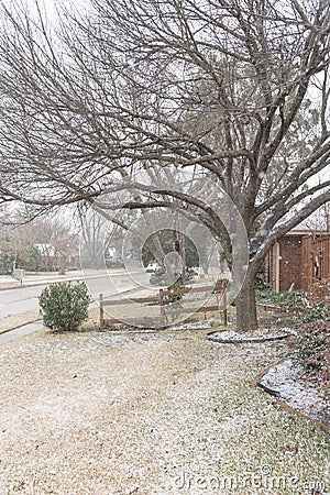 Typical font yard entrance of suburban bungalow house in heavy snow fall near Dallas, Texas, USA Stock Photo