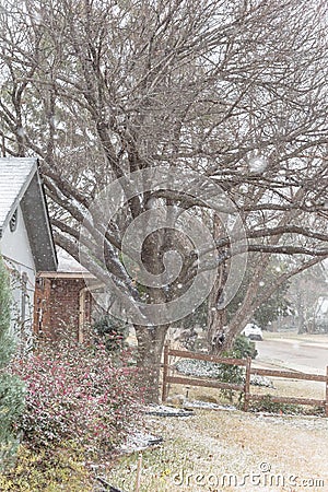 Typical font yard entrance of suburban bungalow house in heavy snow fall near Dallas, Texas, USA Stock Photo