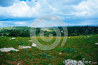 Holy Land Series - Israeli Winter scene 8 Stock Photo