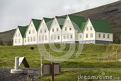 Typical Iceland houses with green roof in landscape Stock Photo