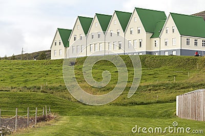 Typical Iceland houses with green roof in landscape Stock Photo