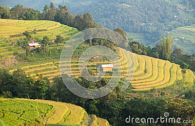 Typical image of an Asian village landscape in a rural area Stock Photo