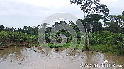 Typical indigene village along the Amazon River in the Amazonia Rain Forest South America Stock Photo