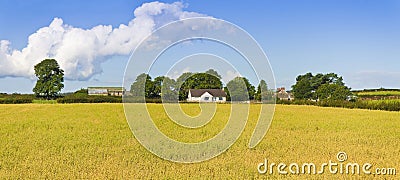 Typical Irish flat landscape with farms and fields of grass Stock Photo