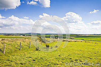 Typical Irish flat landscape with fields of grass and wooden fence for grazing animals Ireland Stock Photo