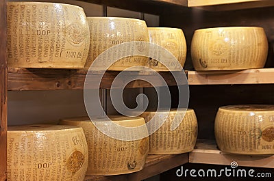 Typical italian cheese called parmigiano Editorial Stock Photo