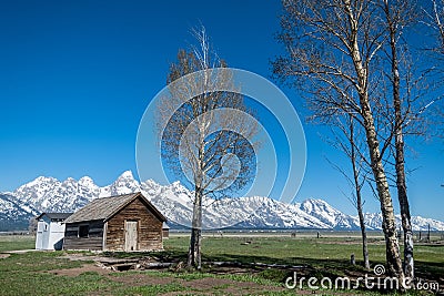 Typical landscape with a cabin and some trees in the foreground and the snowy mountains of Grand Tetons National Park in the Stock Photo