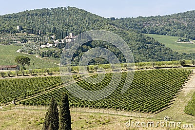 Typical landscape of Chianti classico in the municipality of Greve, Tuscany, Italy Stock Photo