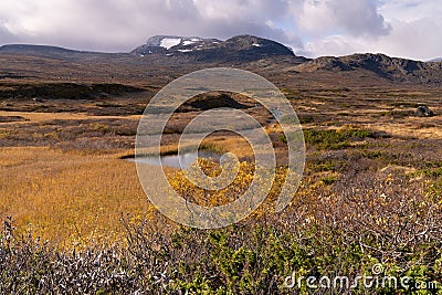 Typical landscape in Jotunheim National Park in Norway during autumn time in the BeitostÃ¸len area overlooking the Leirungsae Stock Photo