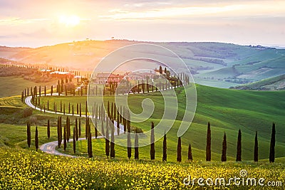 Typical landscape in Tuscany - winding road lined with cypress trees in the green meadows and fields. Stock Photo