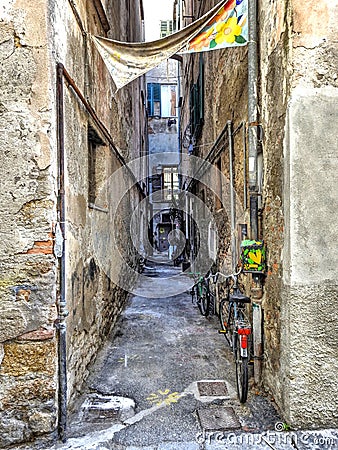 A typical Ligurian alley Italy called `caruggio` with flower pots. Stock Photo