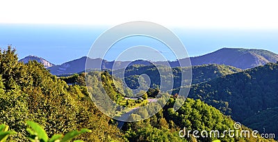 Typical Ligurian hills Stock Photo