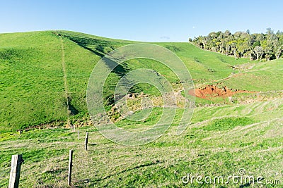 Typical New Zealand farmland in rolling countryside Stock Photo