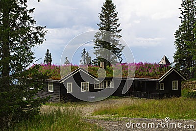 Typical norwegian holiday house, hytte Stock Photo