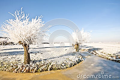 Typical rural dutch landscape in winter Stock Photo