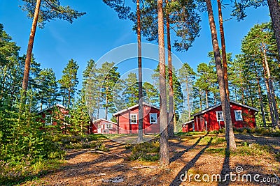 Typical Scandinavian Houses in Pine Forest Stock Photo