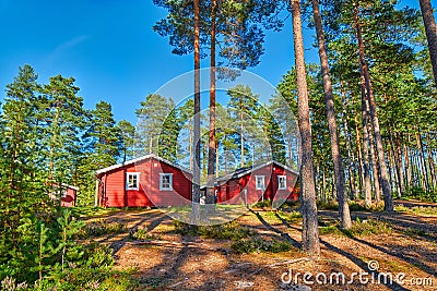 Typical Scandinavian Houses in Pine Forest Stock Photo