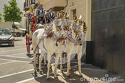 Typical Spanish coachmen ride tourists in a four-horse-drawn carriage in the streets of Jerez de la Frontera, Andalusia, Spain May Editorial Stock Photo