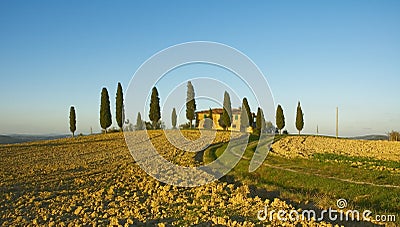 Typical tuscan landscape Stock Photo