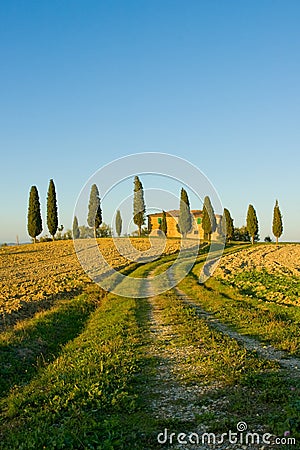 Typical tuscan landscape Stock Photo