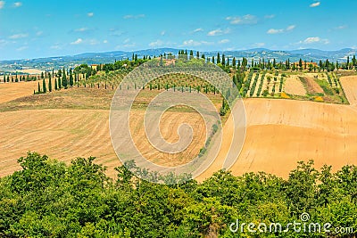 Typical Tuscany landscape,Siena region,Italy,Europe Stock Photo