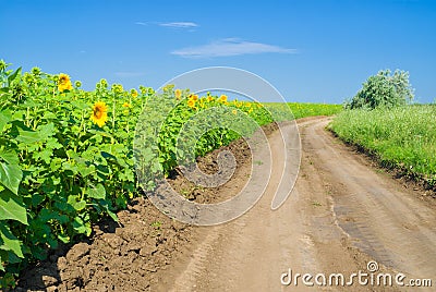 A typical Ukrainian rural landscape Stock Photo